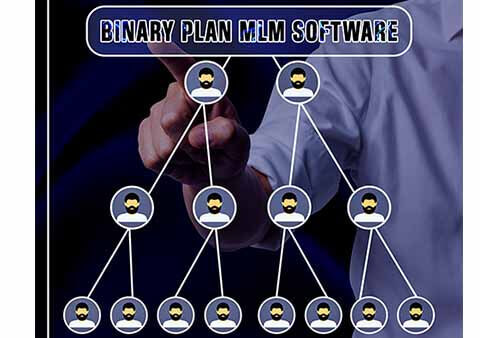 binary mlm Software